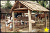 ampliar foto
