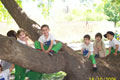 ampliar foto